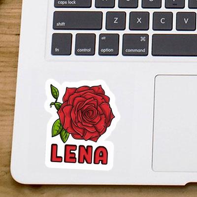 Sticker Rosenblüte Lena Image