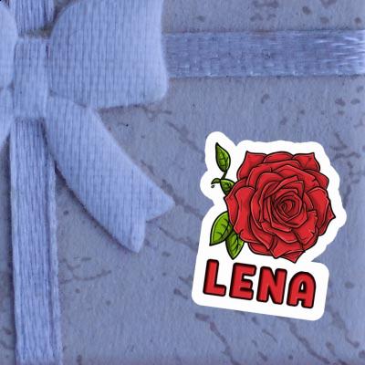 Autocollant Fleur de rose Lena Gift package Image