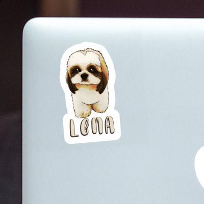 Autocollant Shih Tzu Lena Gift package Image