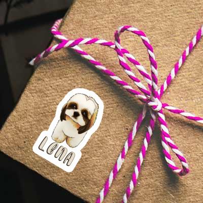 Autocollant Shih Tzu Lena Gift package Image