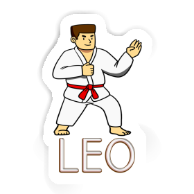 Aufkleber Leo Karateka Image
