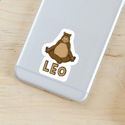 Leo Sticker Bear Gift package Image