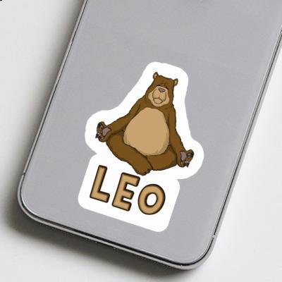 Leo Sticker Bear Gift package Image