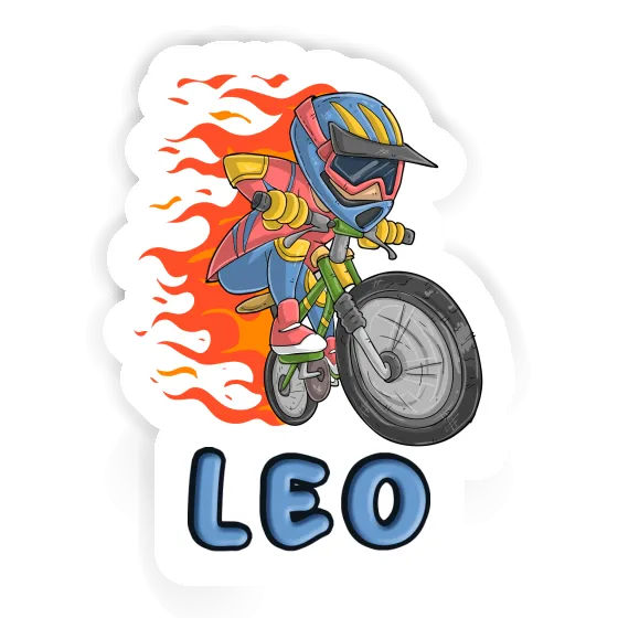 Autocollant Léo Vététiste de freeride Gift package Image