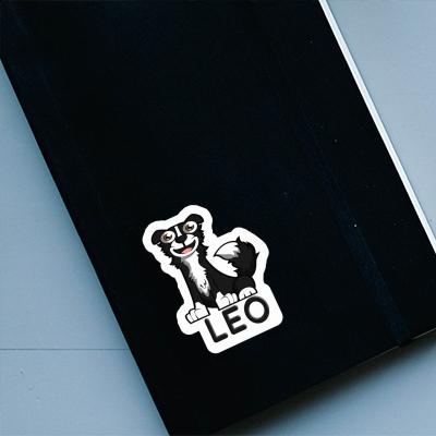 Border Collie Sticker Léo Laptop Image