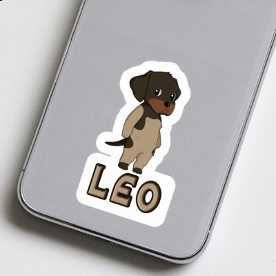 Sticker German Wirehaired Leo Sticker German Wirehaired Leo Image