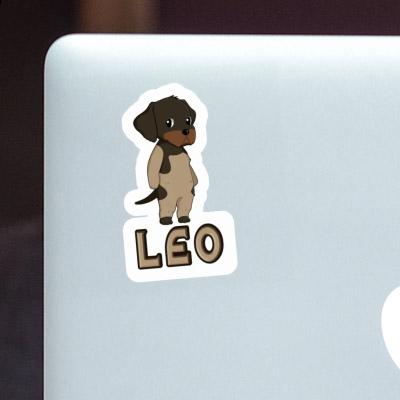 Sticker German Wirehaired Leo Notebook Sticker German Wirehaired Leo Gift package Image