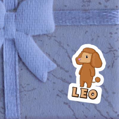 Caniche Autocollant Leo Image