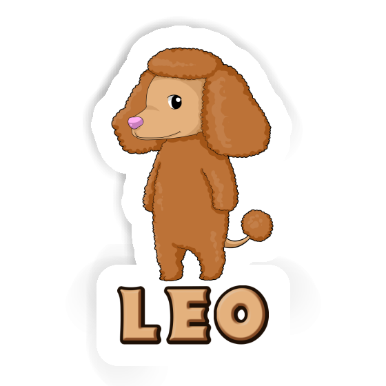 Caniche Autocollant Leo Caniche Autocollant Leo Image