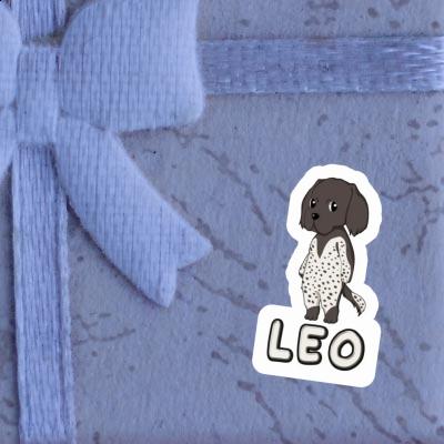 Leo Sticker Kleiner Münsterländer Notebook Leo Sticker Kleiner Münsterländer Gift package Image