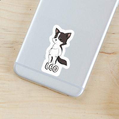 Border Collie Sticker Leo Gift package Image