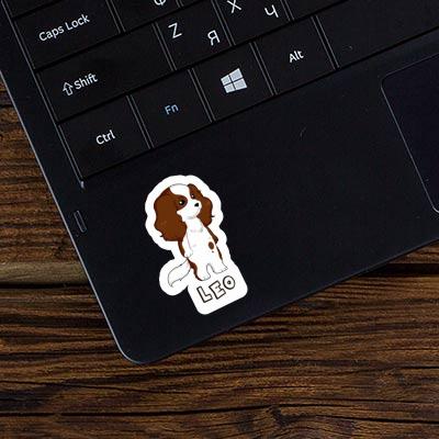 Aufkleber Cavalier King Charles Spaniel Léo Gift package Image