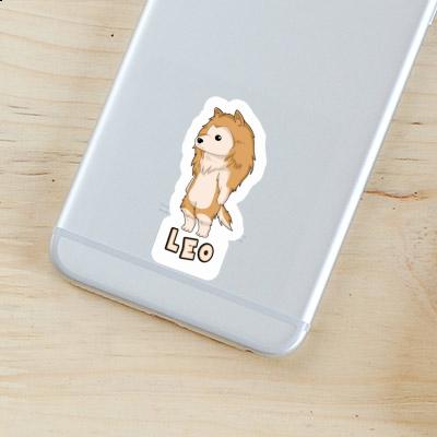 Colley Autocollant Leo Notebook Colley Autocollant Leo Notebook Image