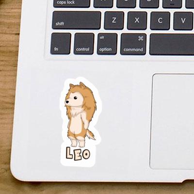 Collie Sticker Leo Notebook Collie Sticker Leo Gift package Image