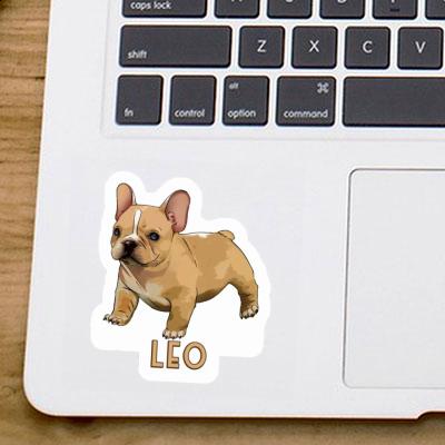 Leo Autocollant Bouledogue Notebook Leo Autocollant Bouledogue Gift package Image