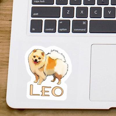 Autocollant Spitz allemand Leo Notebook Autocollant Spitz allemand Leo Gift package Image