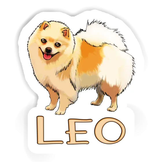 Autocollant Spitz allemand Leo Laptop Autocollant Spitz allemand Leo Laptop Image