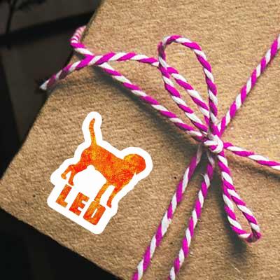 Sticker Hound Leo Laptop Sticker Hound Leo Laptop Image