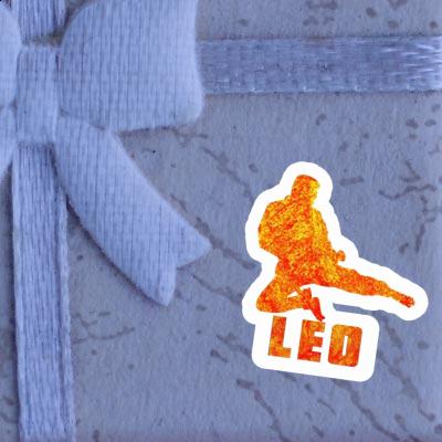 Leo Sticker Karateka Laptop Image