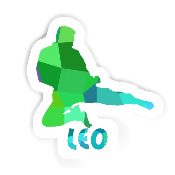 Karateka Sticker Leo Gift package Image