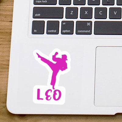 Aufkleber Karateka Leo Notebook Aufkleber Karateka Leo Gift package Image