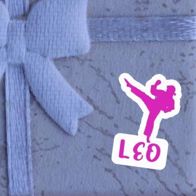 Aufkleber Karateka Leo Notebook Aufkleber Karateka Leo Gift package Image