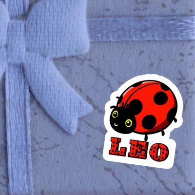 Autocollant Léo Coccinelle Gift package Image