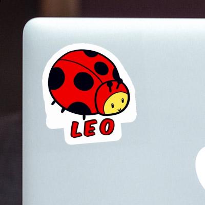 Autocollant Léo Coccinelle Laptop Autocollant Léo Coccinelle Laptop Image