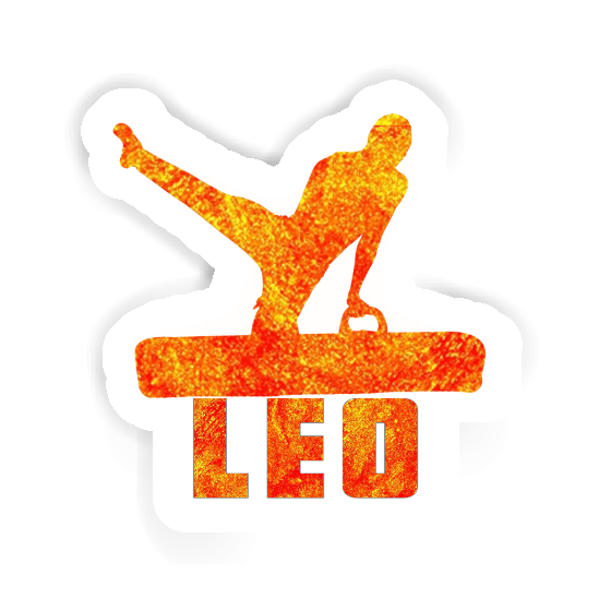 Sticker Gymnast Léo Notebook Sticker Gymnast Léo Gift package Image