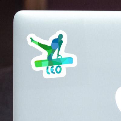 Gymnast Sticker Léo Notebook Gymnast Sticker Léo Gift package Image