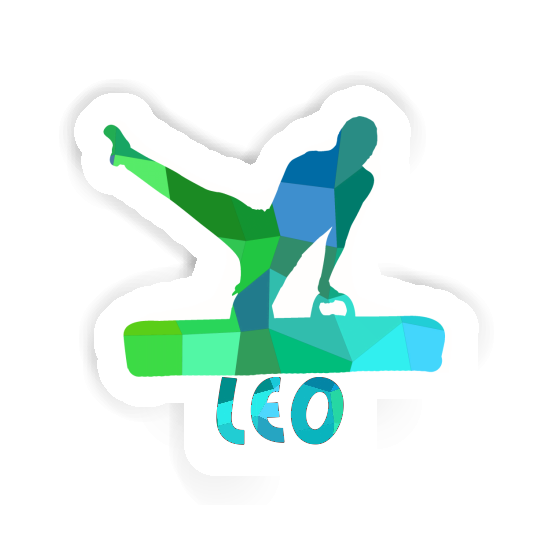 Gymnast Sticker Léo Notebook Gymnast Sticker Léo Gift package Image