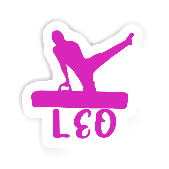 Gymnast Sticker Léo Notebook Gymnast Sticker Léo Notebook Image
