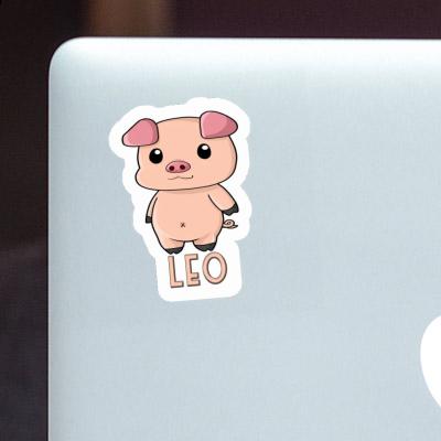 Schweinchen Sticker Leo Laptop Schweinchen Sticker Leo Laptop Image