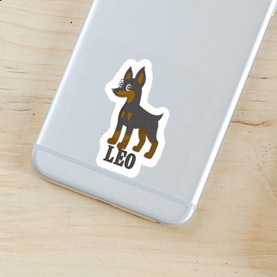 Sticker Leo Pinscher Laptop Sticker Leo Pinscher Laptop Image