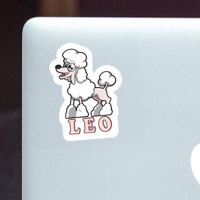 Leo Autocollant Caniche Laptop Leo Autocollant Caniche Laptop Image