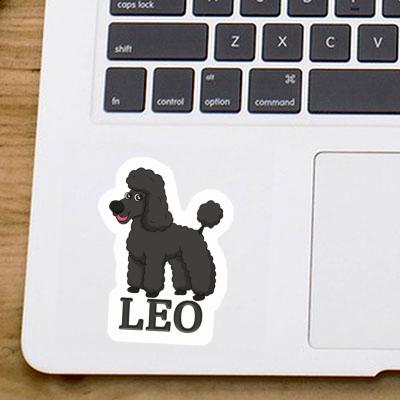 Leo Autocollant Caniche Notebook Leo Autocollant Caniche Gift package Image