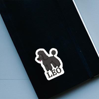 Leo Autocollant Caniche Notebook Leo Autocollant Caniche Notebook Image