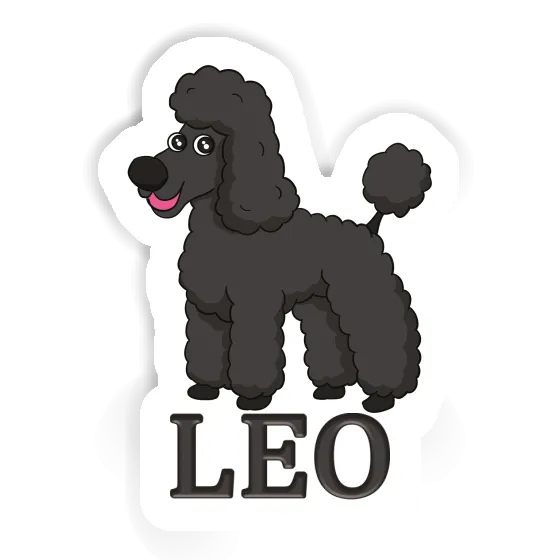 Leo Autocollant Caniche Leo Autocollant Caniche Image
