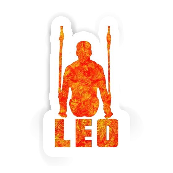 Sticker Ring gymnast Léo Notebook Sticker Ring gymnast Léo Gift package Image