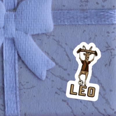Autocollant Léo Bouquetin Notebook Image