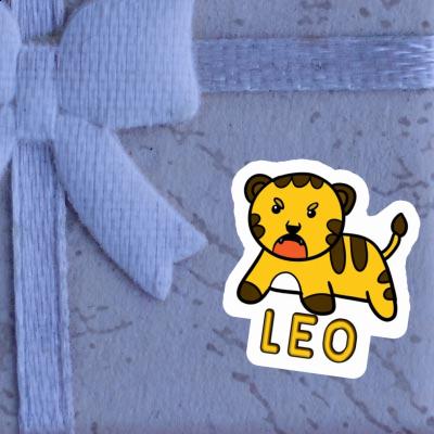 Sticker Baby-Tiger Leo Laptop Sticker Baby-Tiger Leo Laptop Image