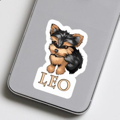 Autocollant Leo Yorkshire Terrier Notebook Autocollant Leo Yorkshire Terrier Gift package Image
