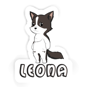 Sticker Leona Border Collie Image
