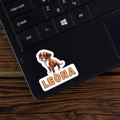Leona Sticker Boxer Notebook Leona Sticker Boxer Gift package Image
