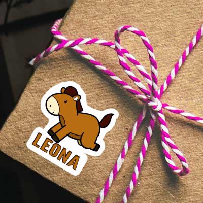 Horse Sticker Leona Notebook Horse Sticker Leona Gift package Image