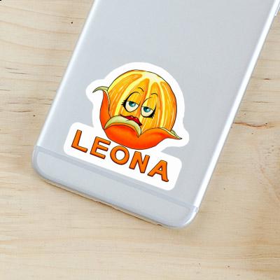 Leona Sticker Orange Notebook Image