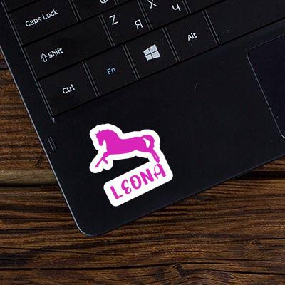 Sticker Leona Horse Notebook Sticker Leona Horse Gift package Image