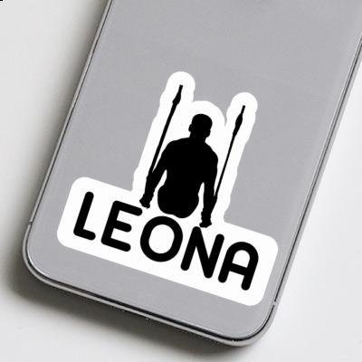 Sticker Ringturner Leona Gift package Image