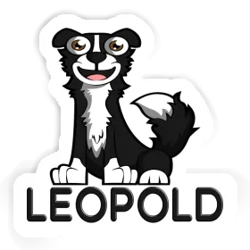 Autocollant Collie Leopold Image