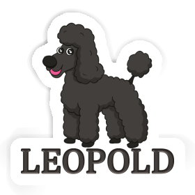 Leopold Autocollant Caniche Image